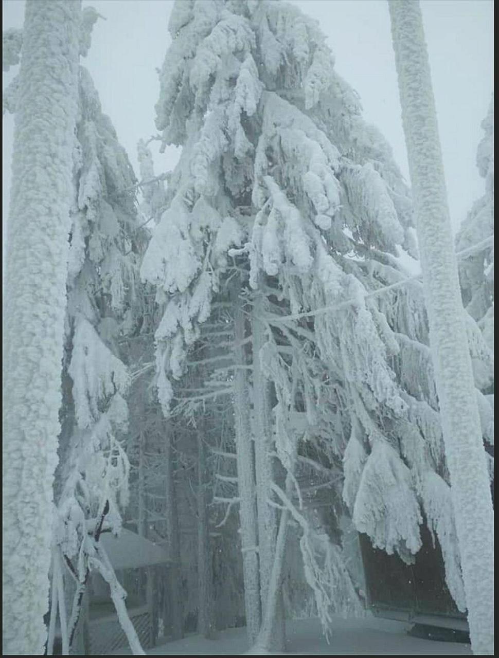 "Різьбярська Садиба" Hotel Slavske Exterior photo